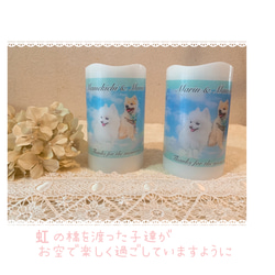 Pet Memorial Candle～ペット メモリアル キャンドル 2枚目の画像