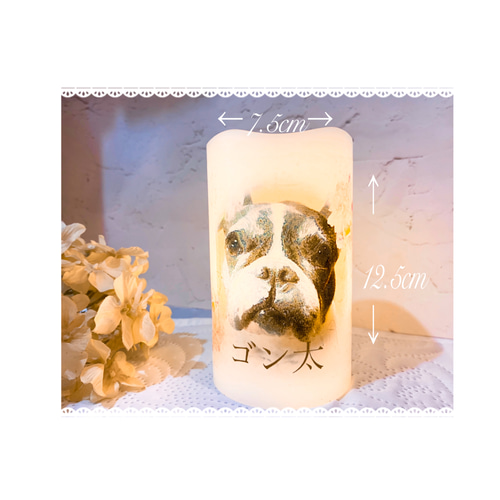 ペットキャンドル Pet Memorial Candle～ペット メモリアル キャンドル おもちゃ