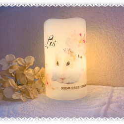 Pet Memorial Candle～ペット メモリアル キャンドル 13枚目の画像