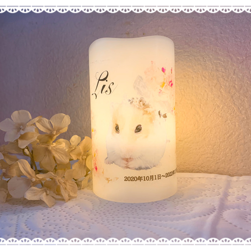 Pet Memorial Candle～ペット メモリアル キャンドル おもちゃ