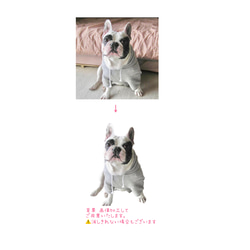 Pet Memorial Candle～ペット メモリアル キャンドル 4枚目の画像