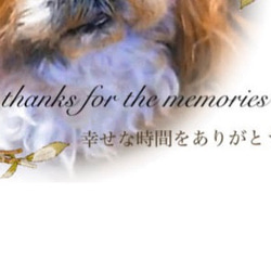 Pet Memorial Candle～ペット メモリアル キャンドル 12枚目の画像
