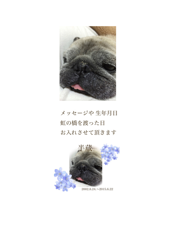 Pet Memorial Candle～ペット メモリアル キャンドル 11枚目の画像