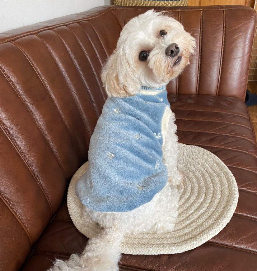 犬服ハンドメイドボーダーリブワンピ