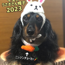 うさぎさん帽子★2023 干支の帽子★ペット用 8枚目の画像