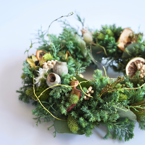 深緑ブルーバードとブルファンのXmasリース/グリーンリース/ポポラス
