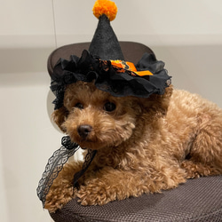 犬猫用ペット用なりきりハロウィンハットアクセサリー 1枚目の画像