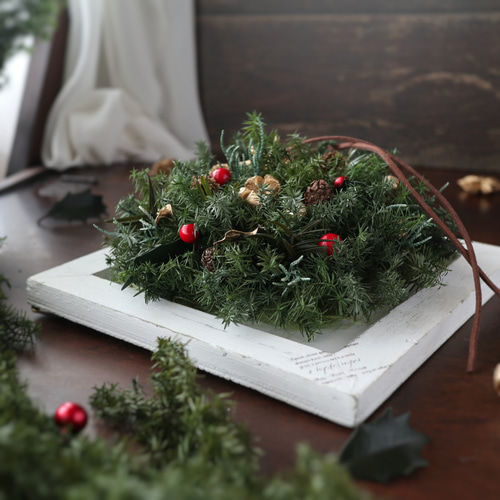 イヴの贈り物 クリスマスプレゼント（プリザーブドフラワー イヴの贈り物 クリスマスプレゼント（プリザーブドフラワー