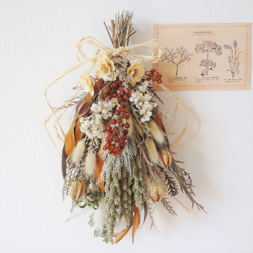 秋色ドライフラワースワッグvol.3 スワッグ hime-flower 通販 14747327