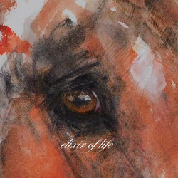 赤い馬のポートレート２０２２（厚い和紙、２６ｃｍ×３６ｃｍ、墨、水彩、アクリル） 2枚目の画像