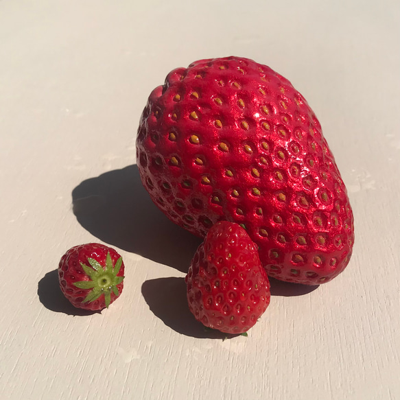 大きないちごのオブジェ 立体・オブジェ 箱庭の魔女 通販