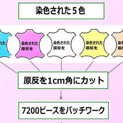 世界でたった一体の特選品・春シリーズ・テディベア 題名・（空と桜と菜の花と） 4枚目の画像