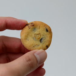 クッキー40枚　種類お任せ 4枚目の画像