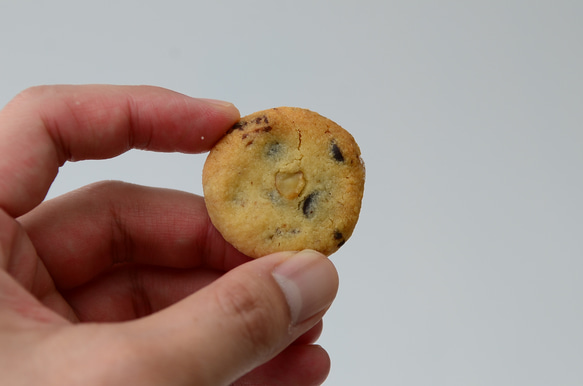 クッキー40枚　種類お任せ 4枚目の画像