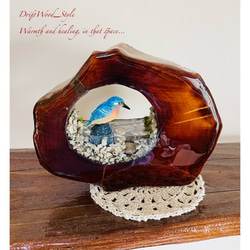 自然界を閉じ込めた流木アート カワセミ ジオラマ 流木 フィギュア 置物 鳥 インテリア レジン テラリウム 水辺 N2 6枚目の画像