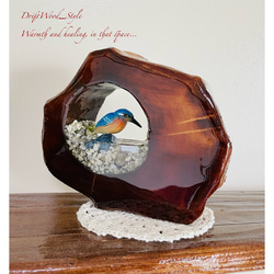 自然界を閉じ込めた流木アート カワセミ ジオラマ 流木 フィギュア 置物 鳥 インテリア レジン テラリウム 水辺 N2 7枚目の画像
