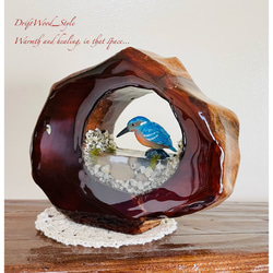 自然界を閉じ込めた流木アート カワセミ ジオラマ 流木 フィギュア 置物 鳥 インテリア レジン テラリウム 水辺 N2 3枚目の画像
