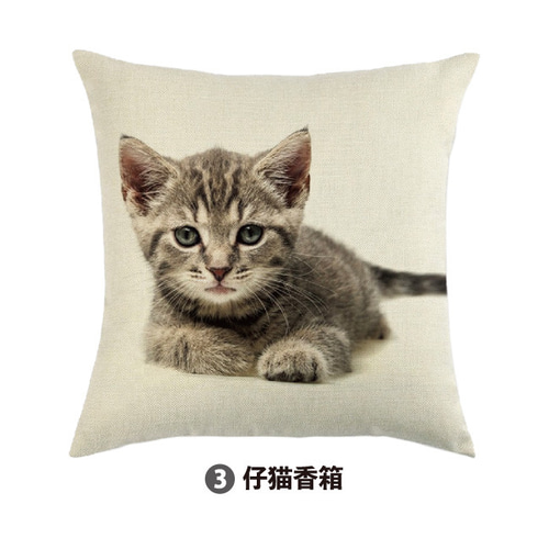 クッションカバー 選べる5種！45×45 仔猫 子猫 こねこ 猫 猫柄