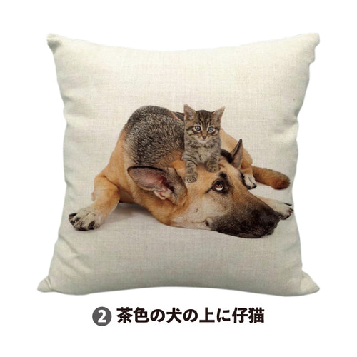 クッションカバー 選べる3種！45×45 犬 仔猫 子猫 こねこ 猫 猫