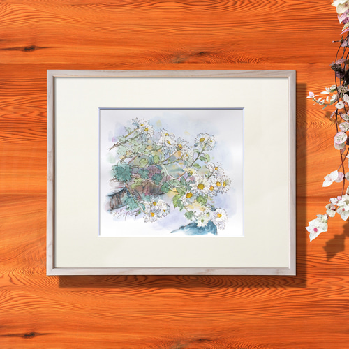 野菊-1】額縁付き スケッチ原画 一点物 特典付き 絵画 jacc_net 通販