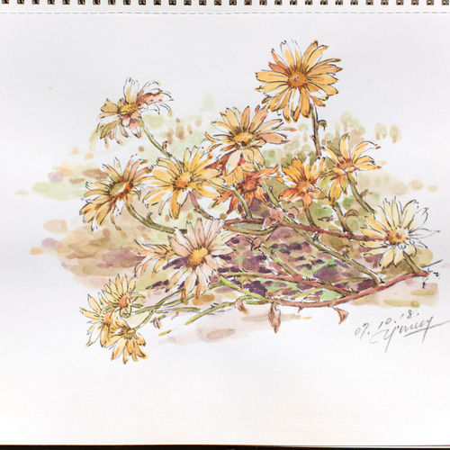 野菊-2】額縁付き スケッチ原画 一点物 特典付き 絵画 jacc_net 通販