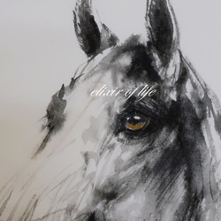 馬の白黒のポートレート２０２２（墨絵、厚い和紙２６ｃｍ×３６ｃｍ） 2枚目の画像