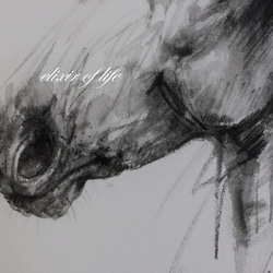 馬の白黒のポートレート２０２２（墨絵、厚い和紙２６ｃｍ×３６ｃｍ） 3枚目の画像