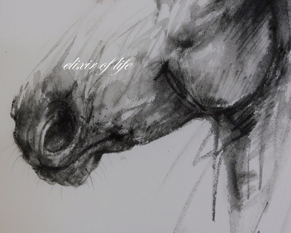 馬の白黒のポートレート２０２２（墨絵、厚い和紙２６ｃｍ×３６ｃｍ） 3枚目の画像