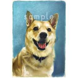 犬の似顔絵 描きます♪︎ 愛犬をアートに♪︎ パステル画(フルカラー・顔のクローズアップ) オーダー制作品 1枚目の画像