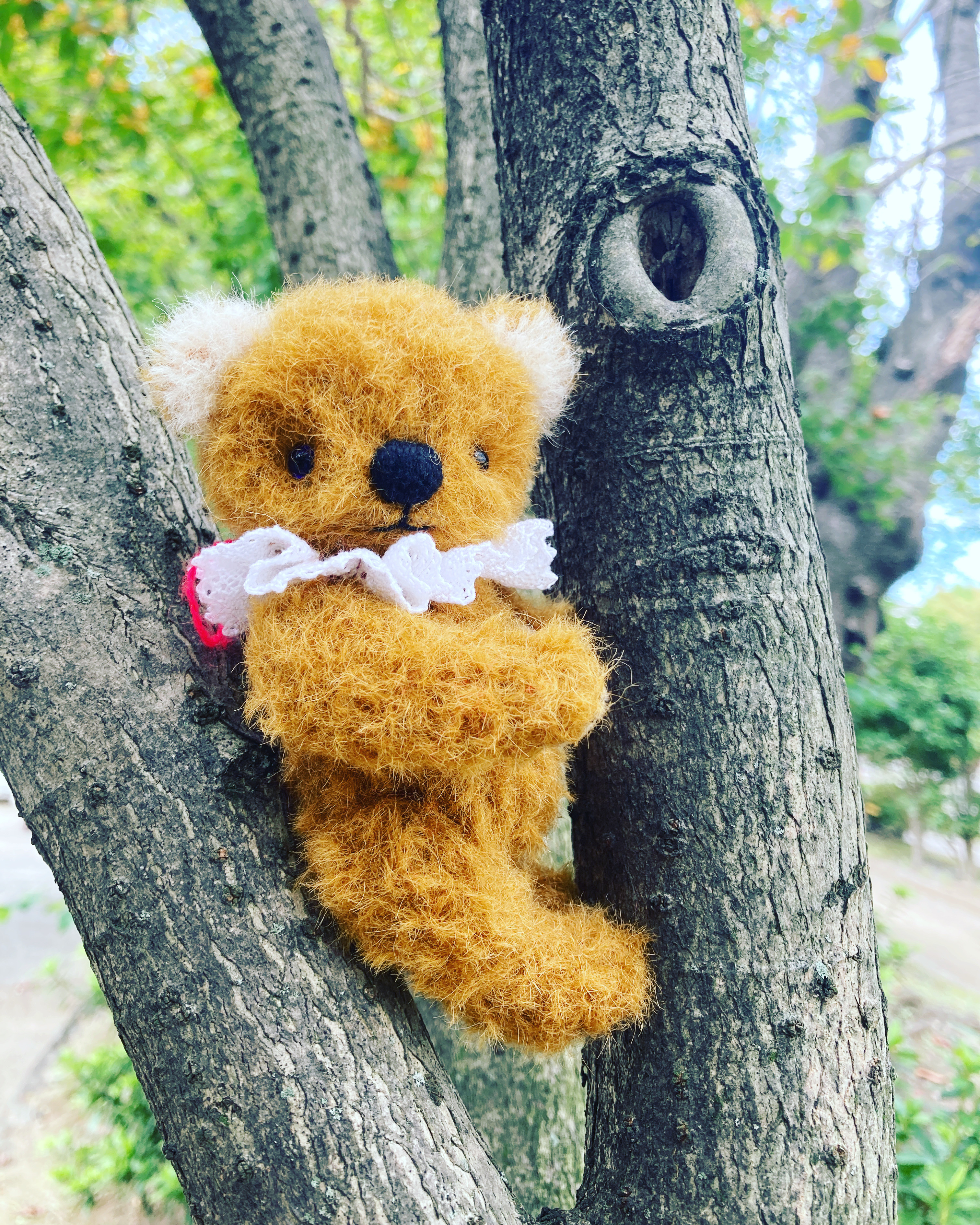 テディベア 14cm 生まれましたʕ•ᴥ•ʔ