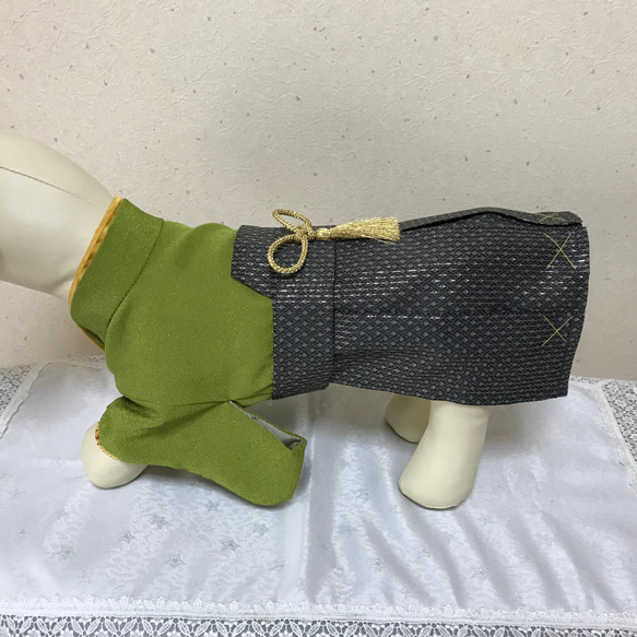 犬用　袴　（およそMサイズ　胴回り42cm〜48cm）うぐいす 2枚目の画像