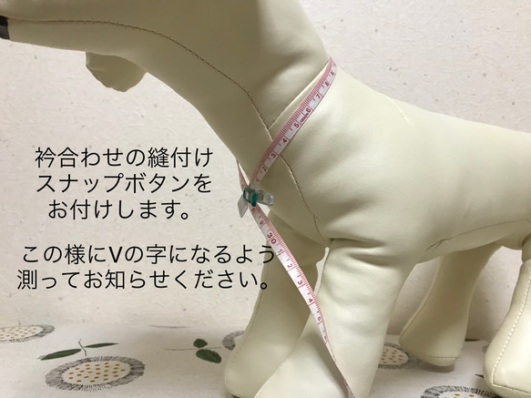 犬用　袴　（およそMサイズ　胴回り42cm〜48cm）うぐいす 8枚目の画像