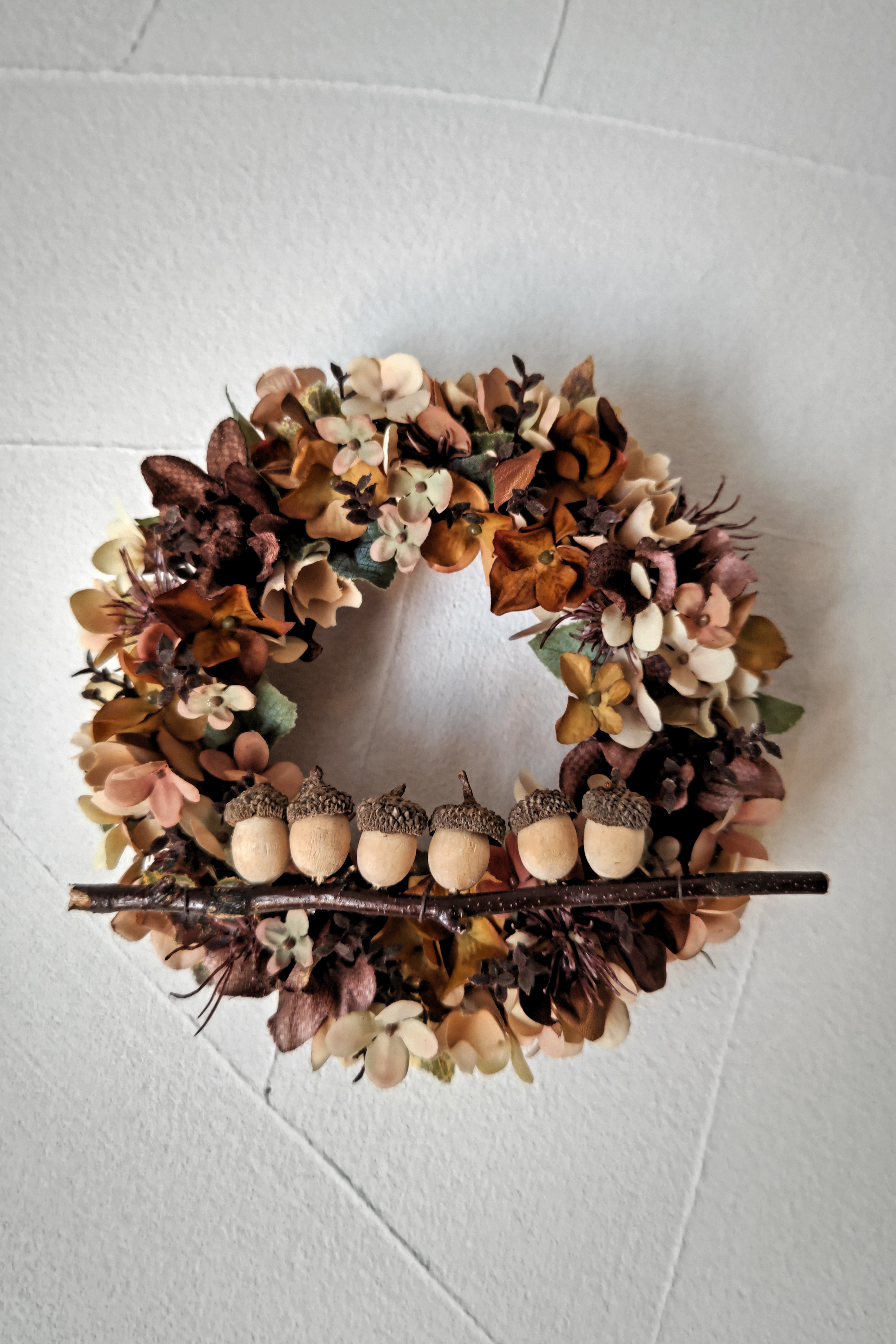 リース [ acorn ６brothers wreath  ]
