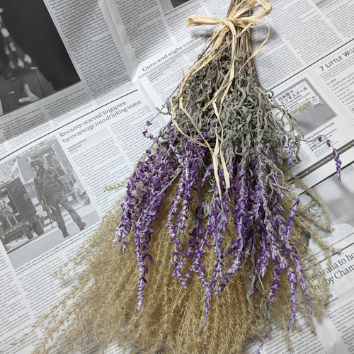 ススキ＆アメジストセージ ドライフラワーセット ドライフラワー Fine