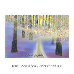 「光彩陸離」 林　樹　木　ほっこり癒しのイラストA4サイズポスター　No.1003 1枚目の画像