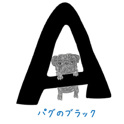 【名入れ】パグ　ラグラン ハーフスリーブ スウェット　アルファベット　半そでスウエット　ラグランスリーブ　親子コーデ 10枚目の画像