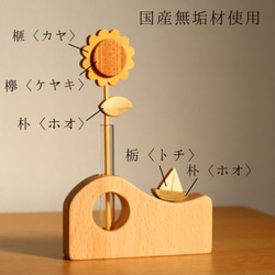  第2張的照片