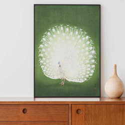 小原古邨、孔雀、鳥、日本画、和モダン、応用が利く和柄ポスター、色々