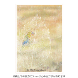 「来来世世」 鳥　葉　ほっこり癒しのイラストA4サイズポスター　No.1014 1枚目の画像