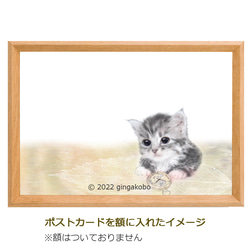 「科戸の風に吹かれて」猫　葉　ほっこり癒しのイラストポストカード2枚組No.020 2枚目の画像