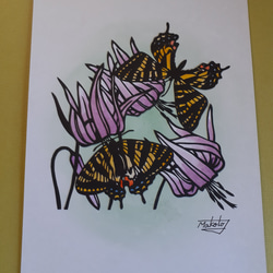 切り絵　ギフチョウとカタクリの花 3枚目の画像