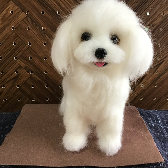 マルチーズ（おすわりポーズ❣️） 羊毛フェルト コーギー大好き