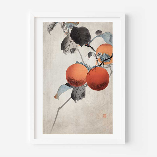 秋のポスター、小原古邨、柿、日本画、和モダンだけじゃない、応用が