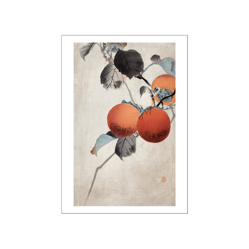 本物！小原古邨　柿に目白　木版画　新版画 本物！小原古邨 柿に目白 木版画 新版画 本物！小原古邨 柿