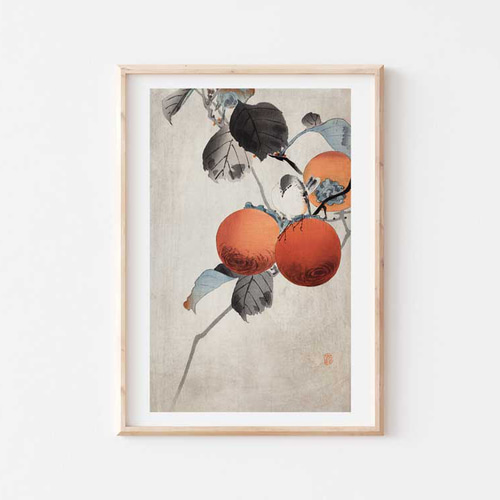 秋のポスター、小原古邨、柿、日本画、和モダンだけじゃない、応用が