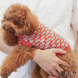 ♡ ティナ様 犬服ハンドメイドセーター ♡ AVRIL ハンドニットのあったかセーター Sサイズ ペット服