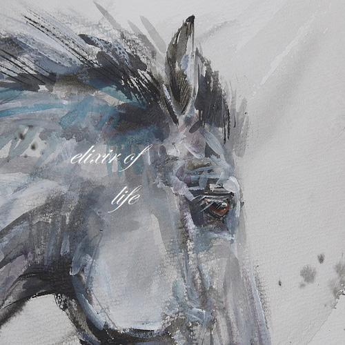 駈ける葦毛の馬2022(水彩画用紙、21cm×29cm、A4サイズ、墨