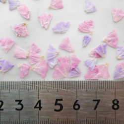 スターチス　ピンク＆パープル　押し花素材 5枚目の画像