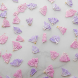 スターチス　ピンク＆パープル　押し花素材 4枚目の画像