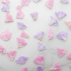 スターチス　ピンク＆パープル　押し花素材 2枚目の画像